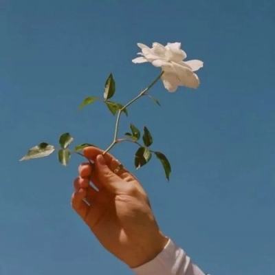 星空app官方网页